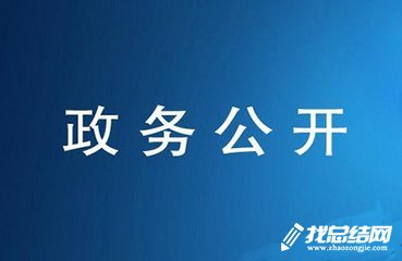 2020年政務(wù)公開宣傳月活動總結(jié)