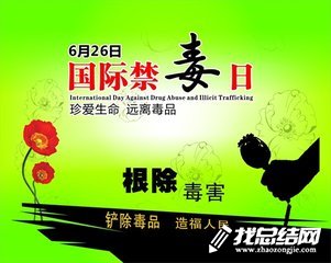 小學(xué)開展國際禁毒日宣傳活動(dòng)總結(jié)2020