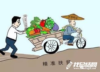 2020年駐村工作隊精準(zhǔn)扶貧工作總結(jié)