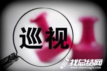 巡視整改工作總結(jié)